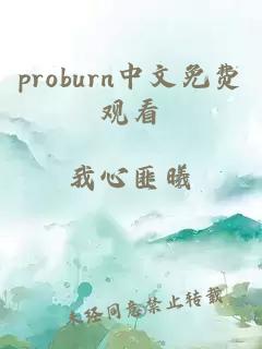 proburn中文免费观看