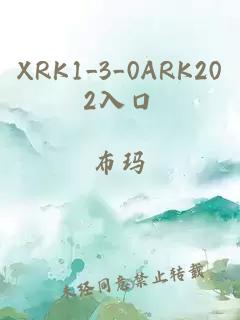 XRK1_3_0ARK202入口